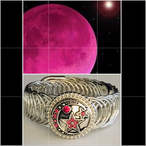 Sliver snap charm bracelet $SALE$ - Picture 1 of 3